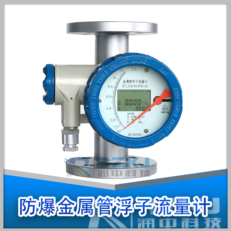 防爆型金屬管轉(zhuǎn)子流量計